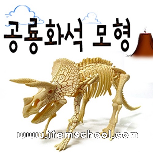 공룡화석모형-트리케라톱스(1개)